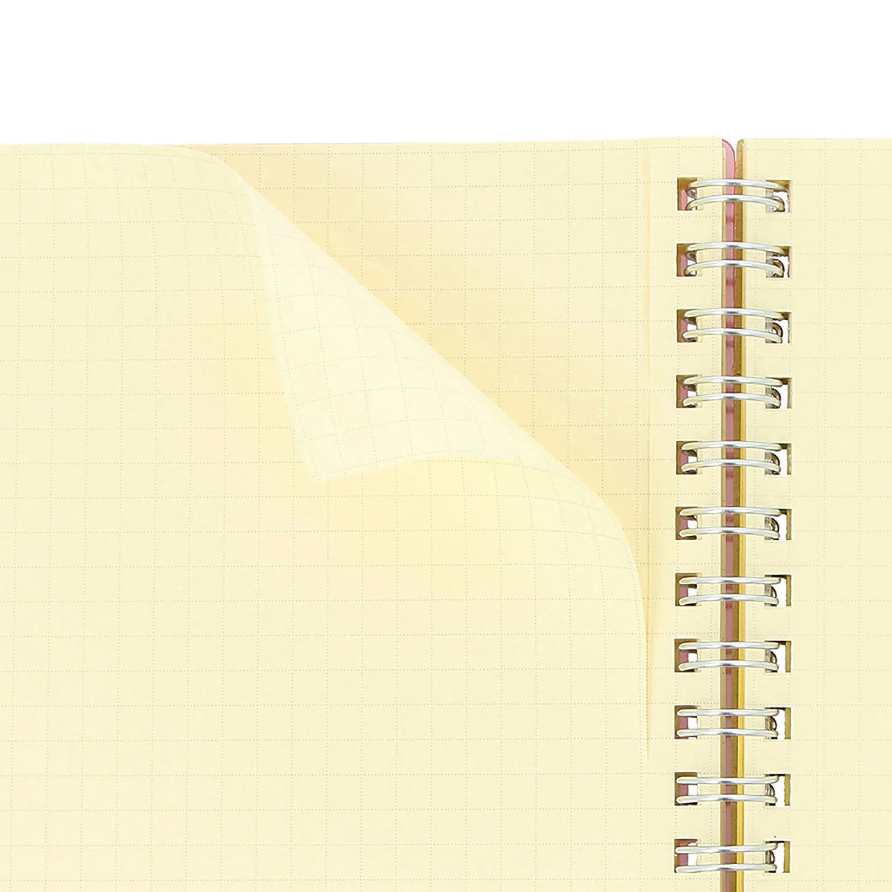 Rollbahn Large Spiral Notebook Clear - Image 5