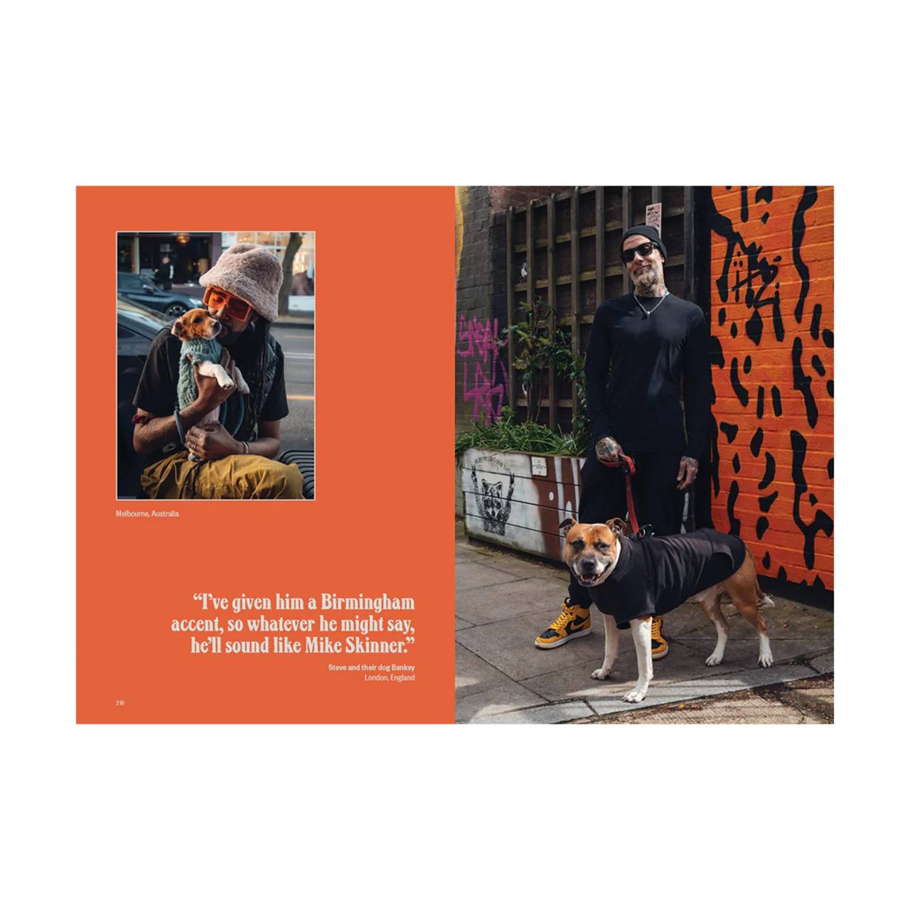 Dog's Best Friend - Image 7