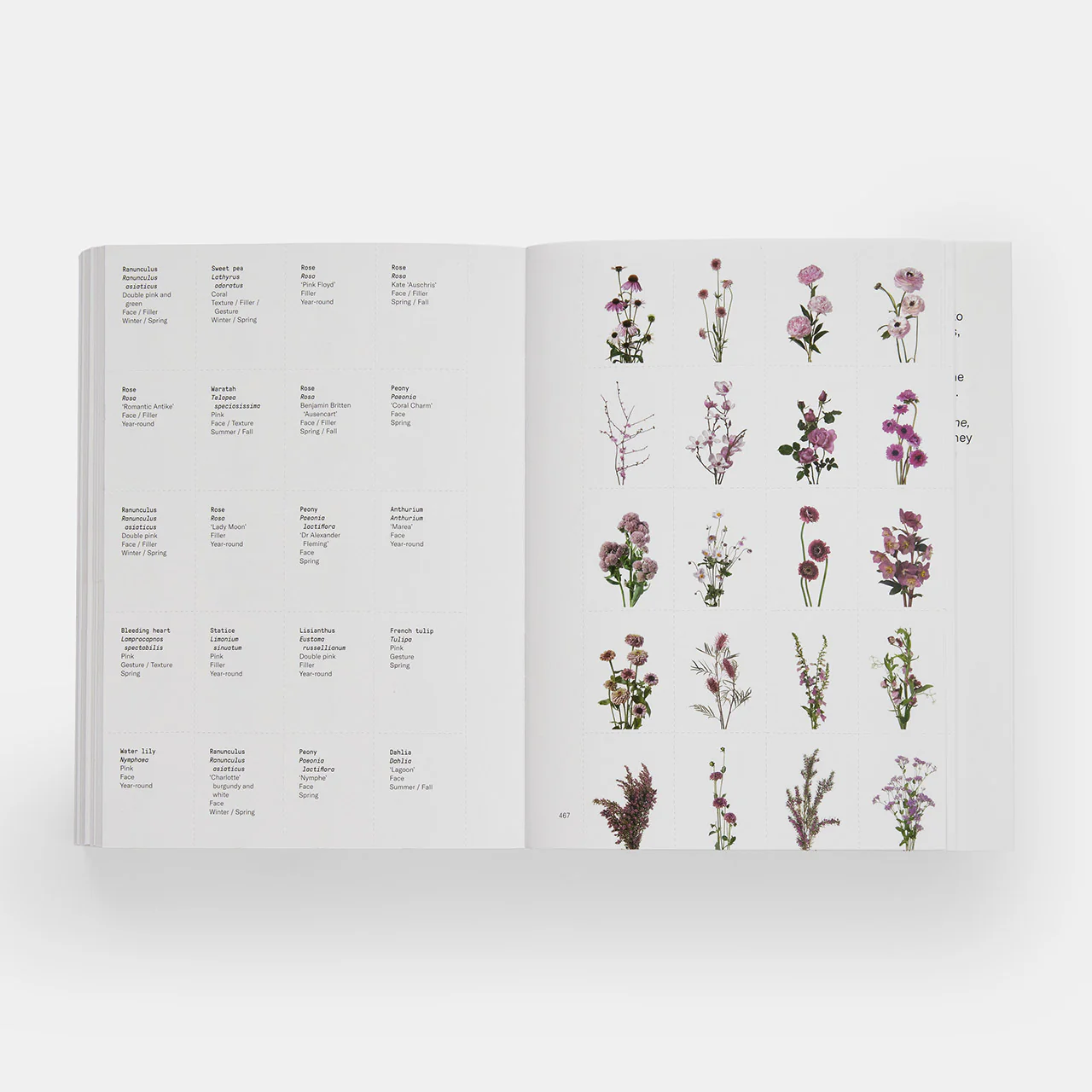 Flower Colour Guide - Image 5