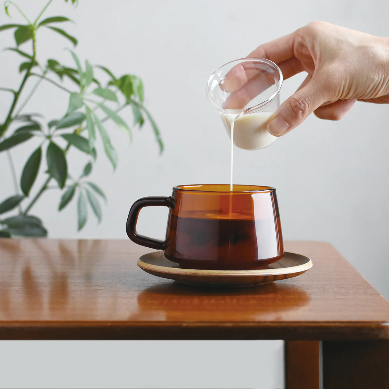 Sepia Cup & Saucer - Image 5