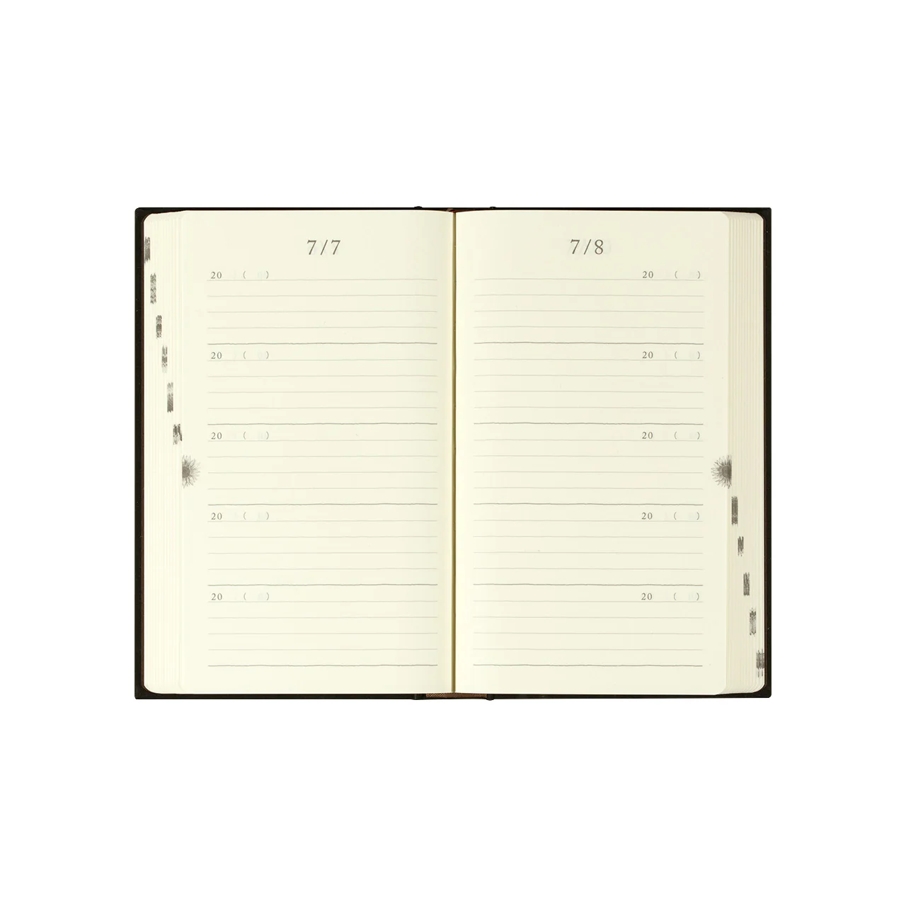 5 Years Diary - Image 2