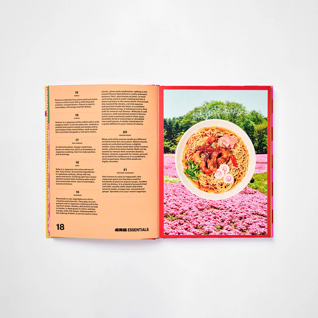 Ramen For Days - Image 3
