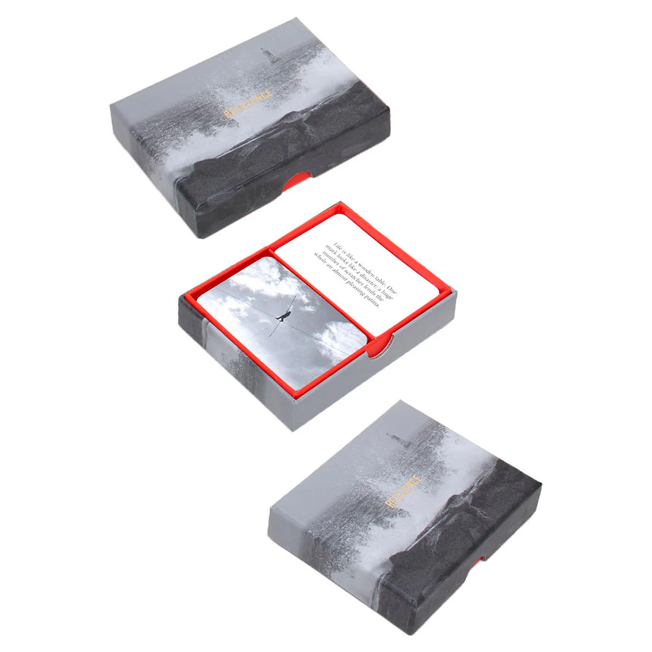 Resilience - Image 6