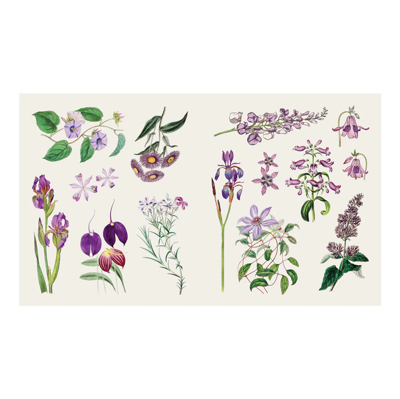 The Sticker Treasury of Butterflies and Blooms - Image 2